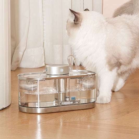 How Often Should I Clean My Cat Water Fountain?