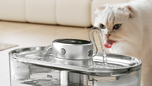 Understanding Cat Water Fountains: Pros & Cons and Why Your Cat Might Need One