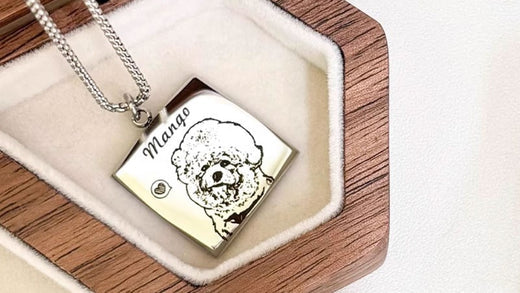 What to Get Someone When Their Dog Dies: Thoughtful Gifts to Offer Comfort