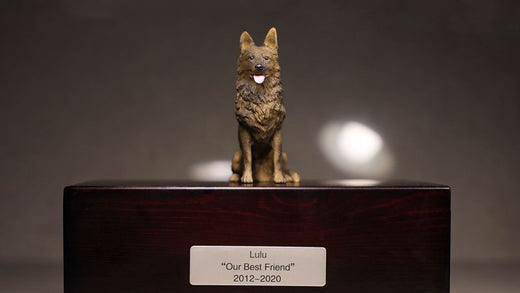 How to Choose the Right Pet Cremation Urn: A Guide for Pet Owners