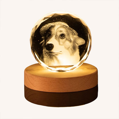 Personalized Pet Memorial Crystal Ball Ornament