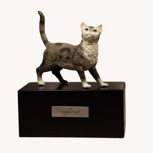 Sandalwood Pet Urn with 3D Tabby Selkirk Rex Statue