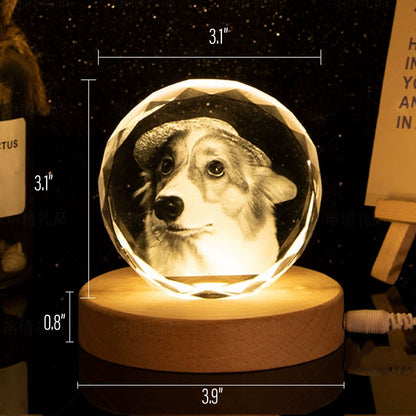 Personalized Pet Memorial Crystal Ball Ornament